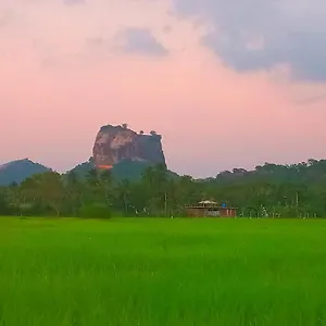  Lodge View