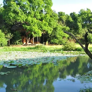  Lodge Back Of Beyond - Wild Haven